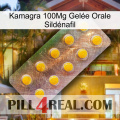 Kamagra 100Mg Gelée Orale Sildénafil new11